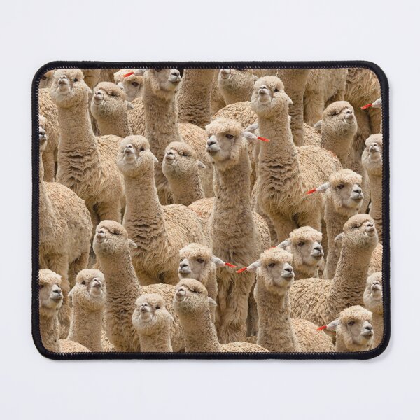 Item preview, Stoned Alpacas designed and sold by WEFEELART.