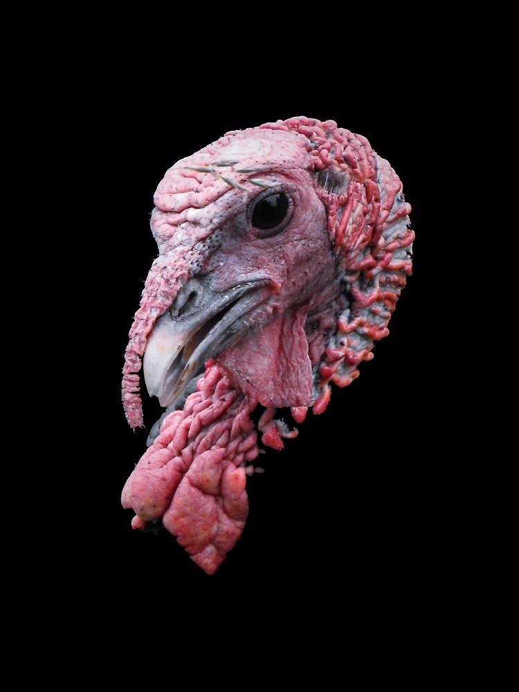 turkey head cut out