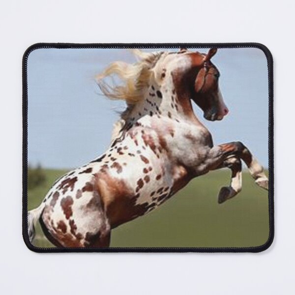 Item preview, apaloosa horse rearing up designed and sold by nigejohn.