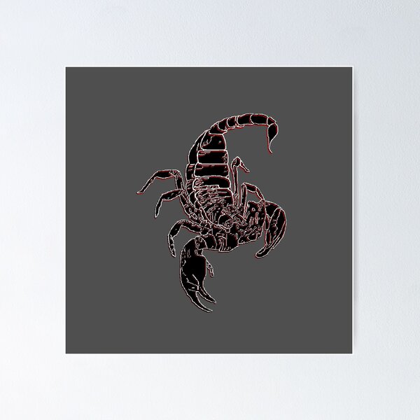 Artikelvorschau, Skorpion 3D Skorpion Skorpion entworfen und verkauft von 4rpixs.