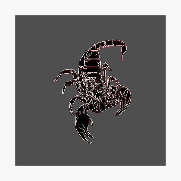 Artikelvorschau, Skorpion 3D Skorpion Skorpion entworfen und verkauft von 4rpixs.