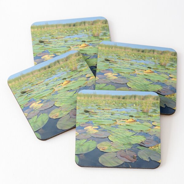 Item preview, Lilly Pads at Peepsock designed and sold by MoodySailor.