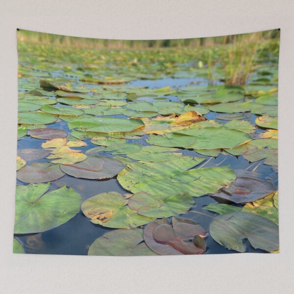 Item preview, Lilly Pads at Peepsock designed and sold by MoodySailor.