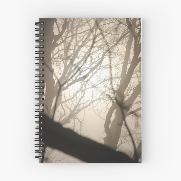 Item preview, Foggy Sunlight designed and sold by NAImagery.