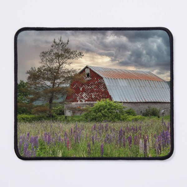 Item preview, The Old Barn Beyond the Lupins designed and sold by Amanda White.