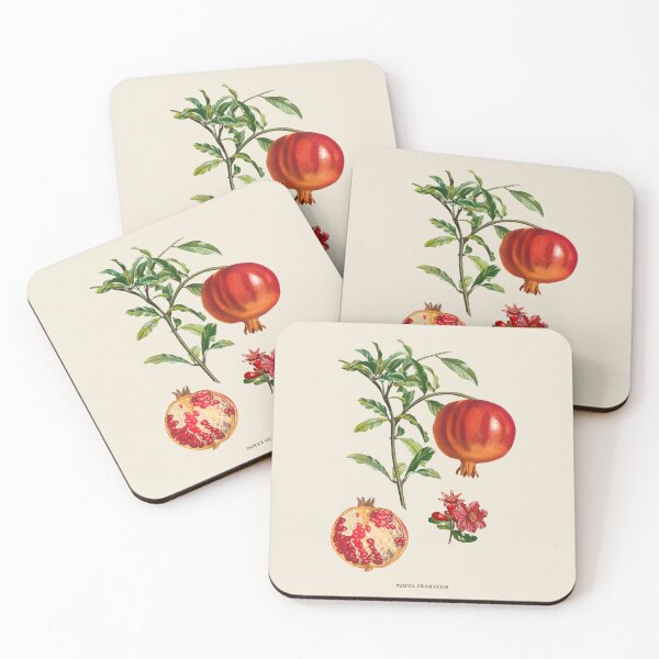Item preview, Pomegranate Antique Botanical Illustration designed and sold by Antiquated Art.