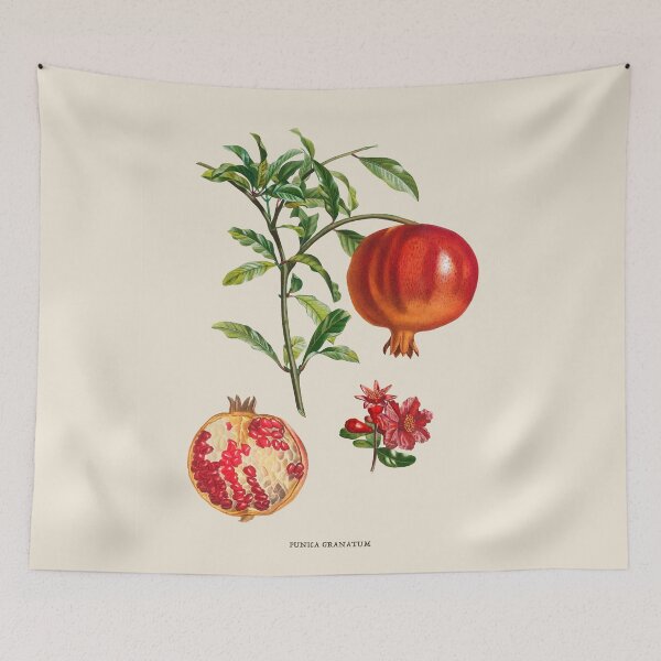 Item preview, Pomegranate Antique Botanical Illustration designed and sold by Antiquated Art.