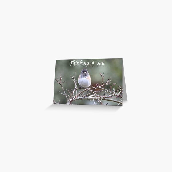 Thinking of you Greeting Card