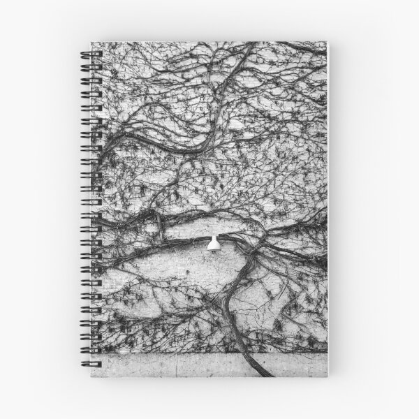 Item preview, City light and wild plant in Copenhagen bw style designed and sold by Kate1art.