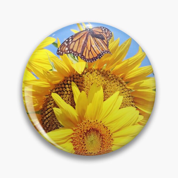 Artikelvorschau, Sonnenblumenstrauß und Monarch entworfen und verkauft von Deb Oppermann.