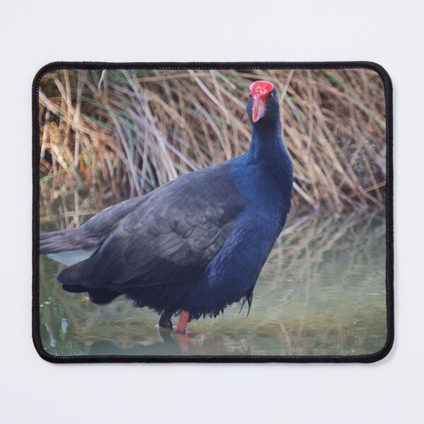 Item preview, Pukeko  designed and sold by D-GaP.