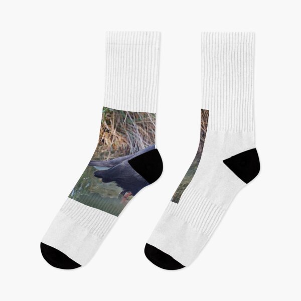 Item preview, Pukeko  designed and sold by D-GaP.