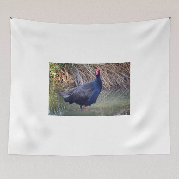 Item preview, Pukeko  designed and sold by D-GaP.