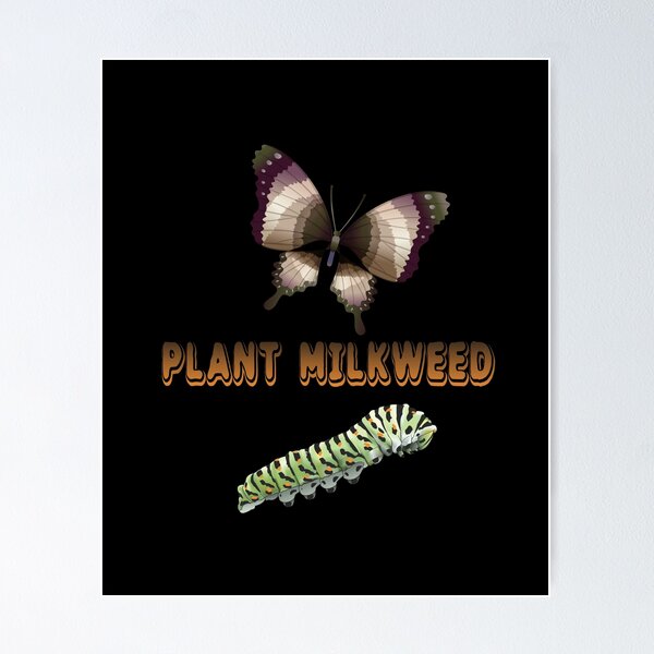 Item preview, Plant Milkweed designed and sold by stuch75.