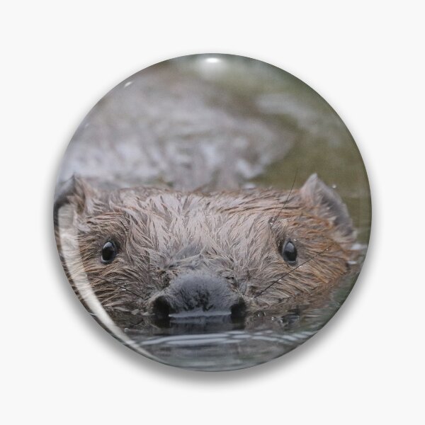 Item preview, You are being watched designed and sold by Dorothy Thomson.