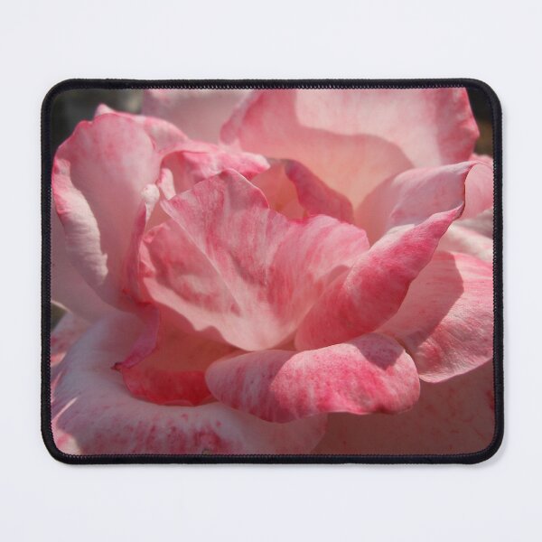 Item preview, Luscious Pink designed and sold by Kashmere1646.