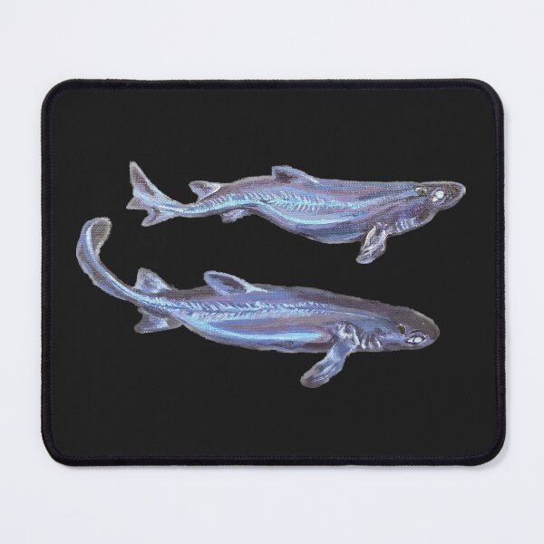 Item preview, Kitefin Shark designed and sold by Aubree Parkinson.