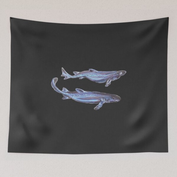 Item preview, Kitefin Shark designed and sold by Aubree Parkinson.