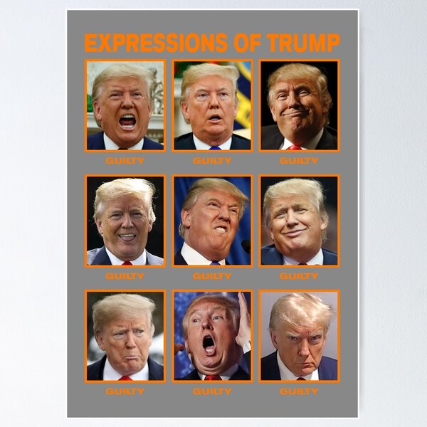 Item preview, Expressions Of Trump (3b) designed and sold by The Passive Canuck.