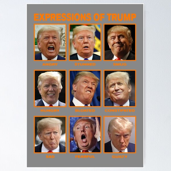 Item preview, Expressions Of Trump (3a) designed and sold by The Passive Canuck.