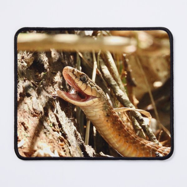 Item preview, Snake at Arkkara Lagoons designed and sold by Mark Grimsley.