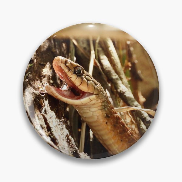 Item preview, Snake at Arkkara Lagoons designed and sold by Mark Grimsley.