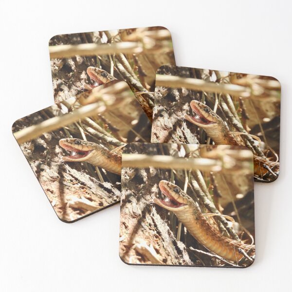 Item preview, Snake at Arkkara Lagoons designed and sold by Mark Grimsley.