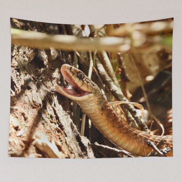 Item preview, Snake at Arkkara Lagoons designed and sold by Mark Grimsley.