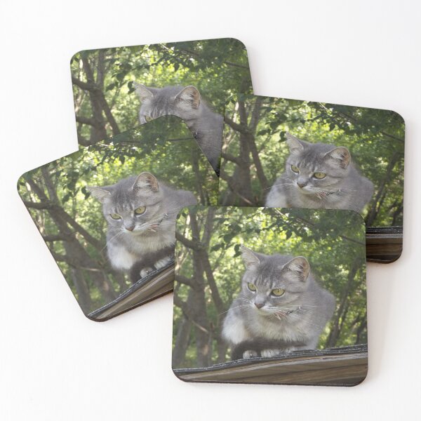 Item preview, Grey cat on a chicken coop designed and sold by McFleur's Lens.