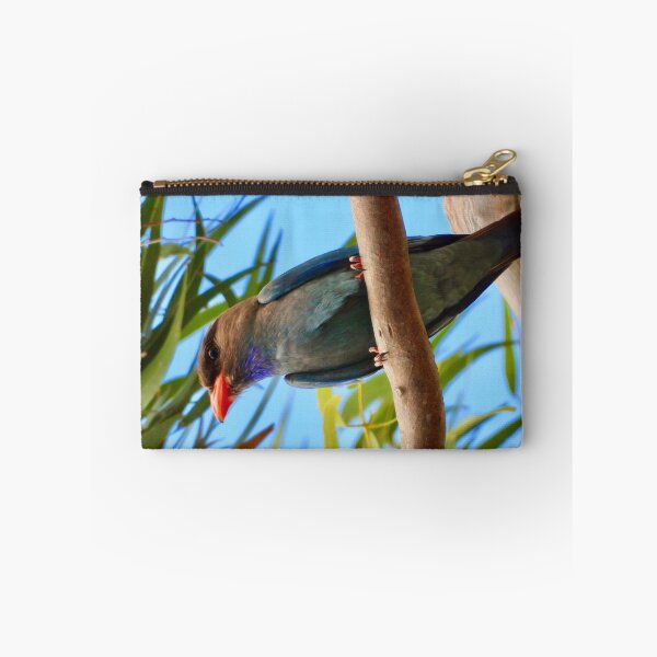 Aperçu de l'œuvre Dollarbird a l’air tout simplement incroyable. créée et vendue par Mark Grimsley.