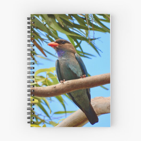 Item preview, Dollarbird just looking amazing. designed and sold by Mark Grimsley.