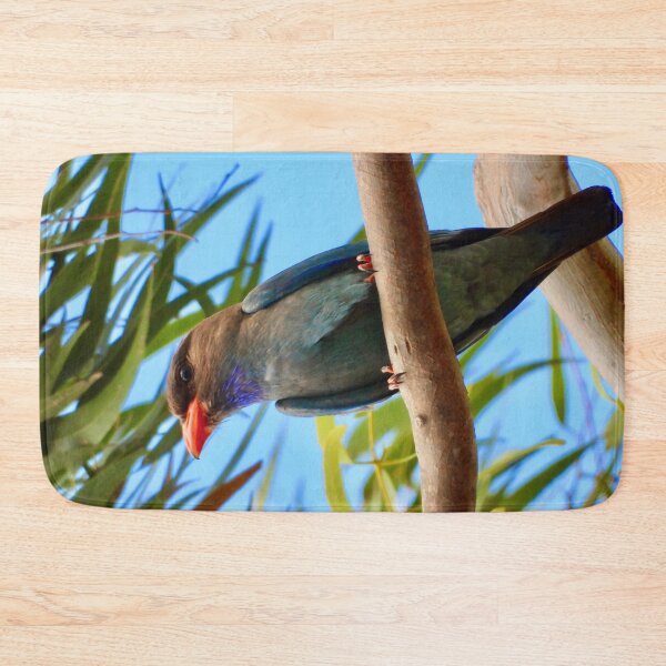 Item preview, Dollarbird just looking amazing. designed and sold by Mark Grimsley.