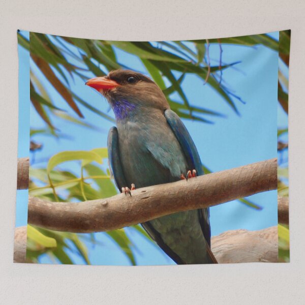 Item preview, Dollarbird just looking amazing. designed and sold by Mark Grimsley.