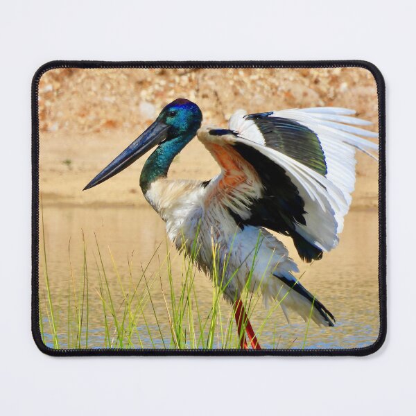 Item preview, Jabiru Black-necked Stork stretch designed and sold by Mark Grimsley.
