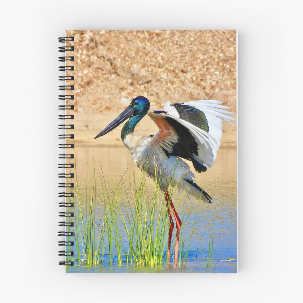 Item preview, Jabiru Black-necked Stork stretch  designed and sold by Mark Grimsley.