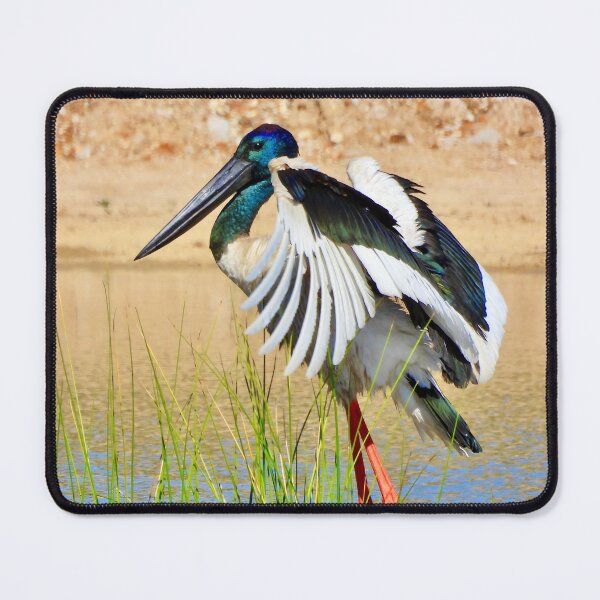 Item preview, Jabiru Black-necked Stork designed and sold by Mark Grimsley.