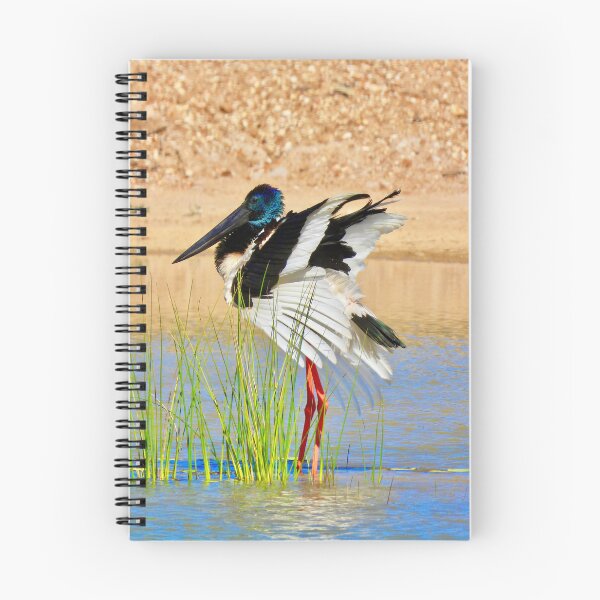 Item preview, Black-necked Stork Jabiru designed and sold by Mark Grimsley.