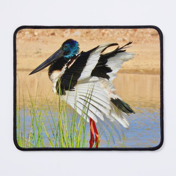 Item preview, Black-necked Stork Jabiru designed and sold by Mark Grimsley.