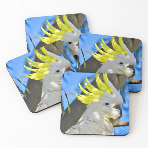 Item preview, Cockatoo nice and bright  designed and sold by Mark Grimsley.