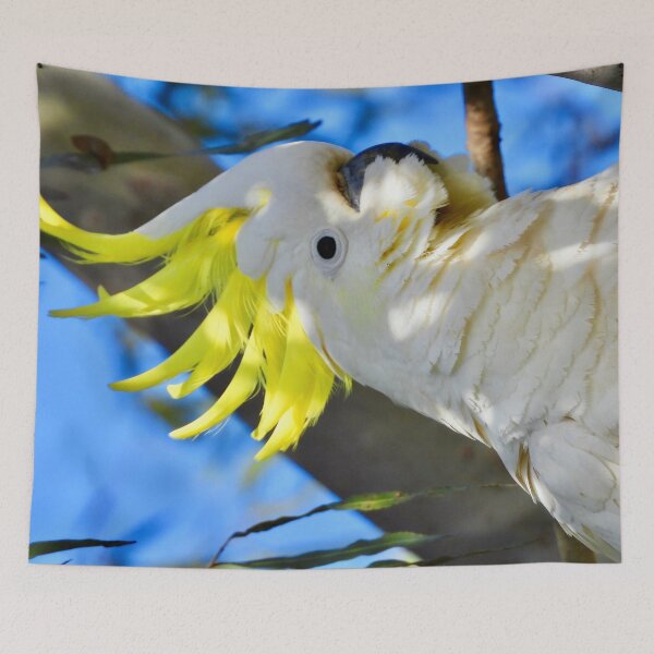 Item preview, Cockatoo nice and bright  designed and sold by Mark Grimsley.