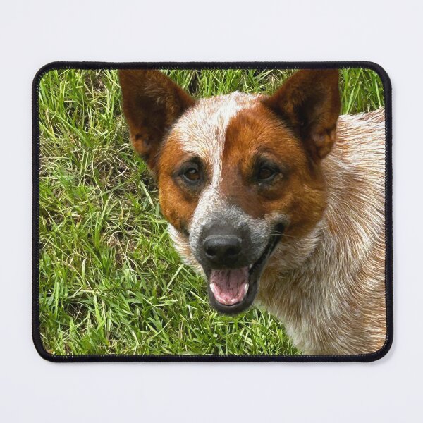 Item preview, A day in the life of dog designed and sold by Pearls1.