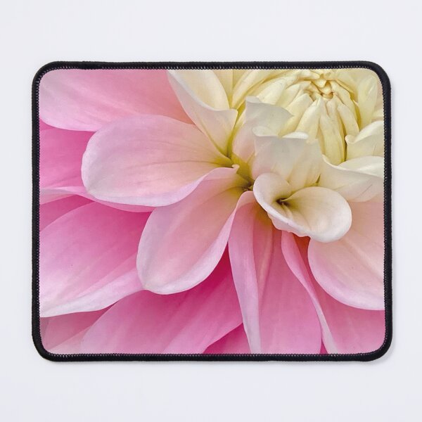 Item preview, Pink gradient dahlia designed and sold by Tanyateo.