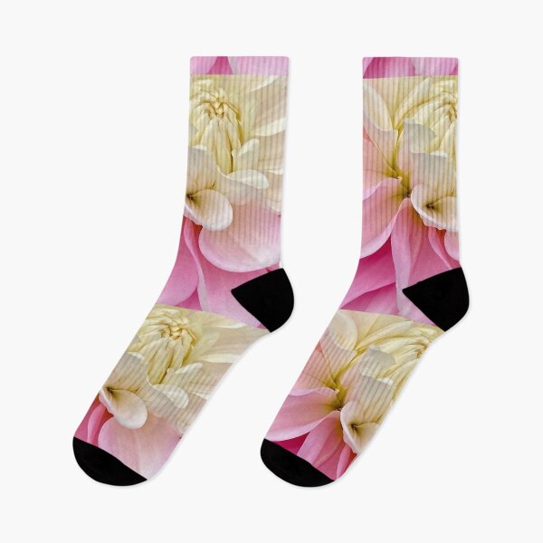 Item preview, Pink gradient dahlia designed and sold by Tanyateo.