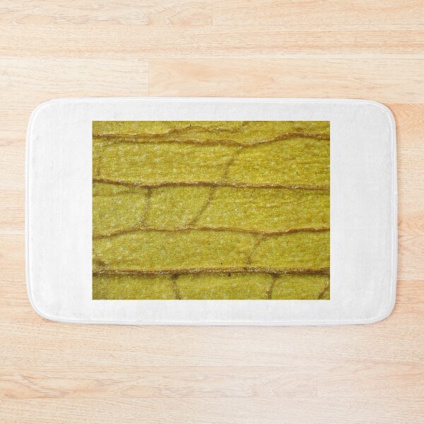 Item preview, Withered orchid leaf under the microscope designed and sold by SDym Photography.