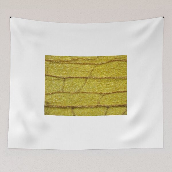 Item preview, Withered orchid leaf under the microscope designed and sold by SDym Photography.