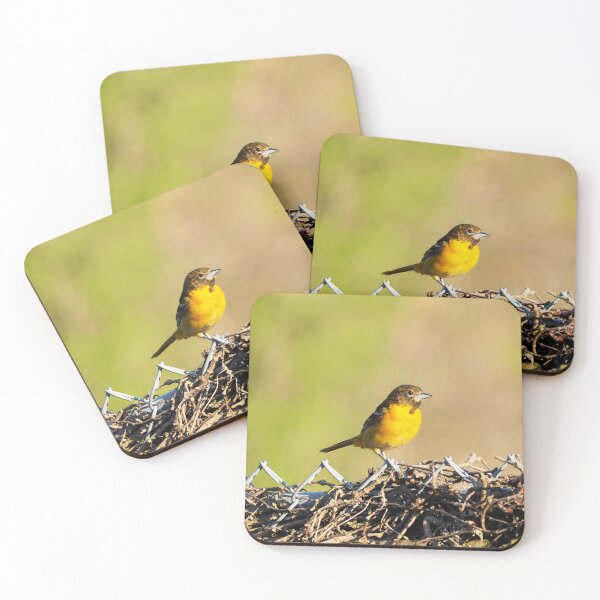 Item preview, Oriole Perched On My Backyard Fence designed and sold by BackyardBirder.