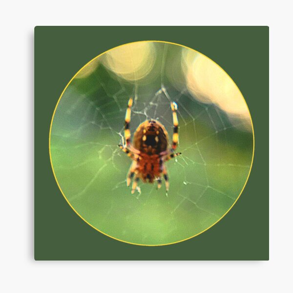 Item preview, Itsy Bitsy Spider designed and sold by ArztNacht.