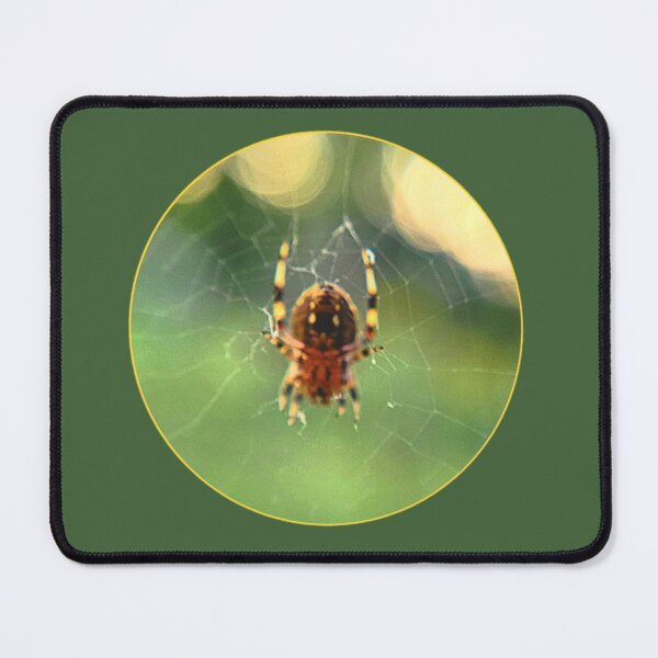 Item preview, Itsy Bitsy Spider designed and sold by ArztNacht.