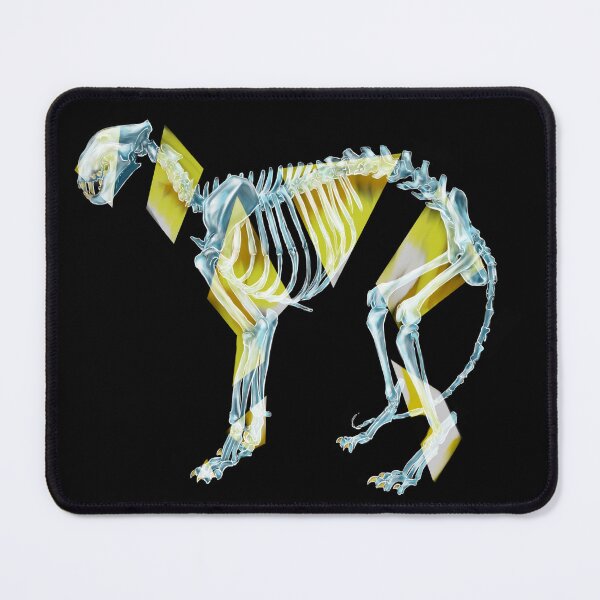 Item preview, .Jaguar XrayMeDo. designed and sold by Celia The Great.