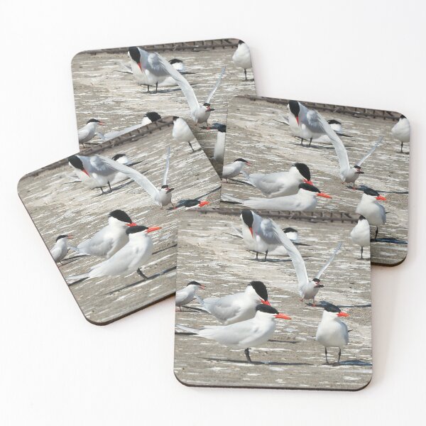 Item preview, Caspian Tern Flock Resting On a Dock designed and sold by BackyardBirder.